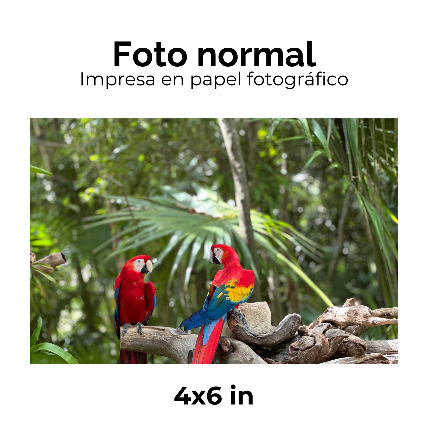 Portarretratos Vidrio y Acero 2 fotos